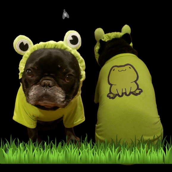 Dog | Dog Frog Costume | Poshmark
